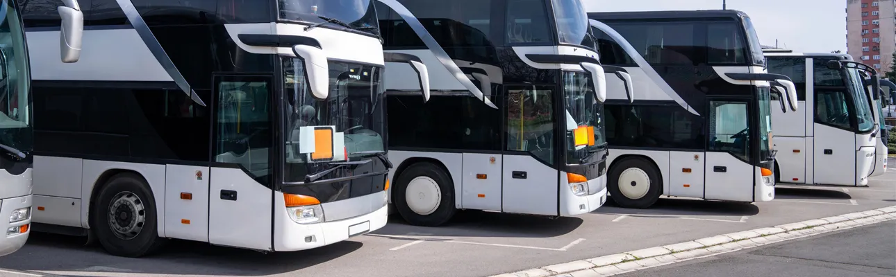 noleggio bus conducente puglia schiavone viaggi